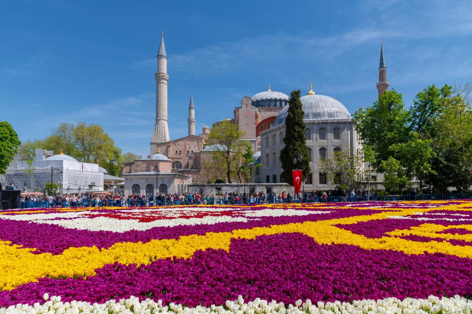 Hotel Pera Tulip & 4*